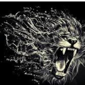 Meet your Posher, Shelby